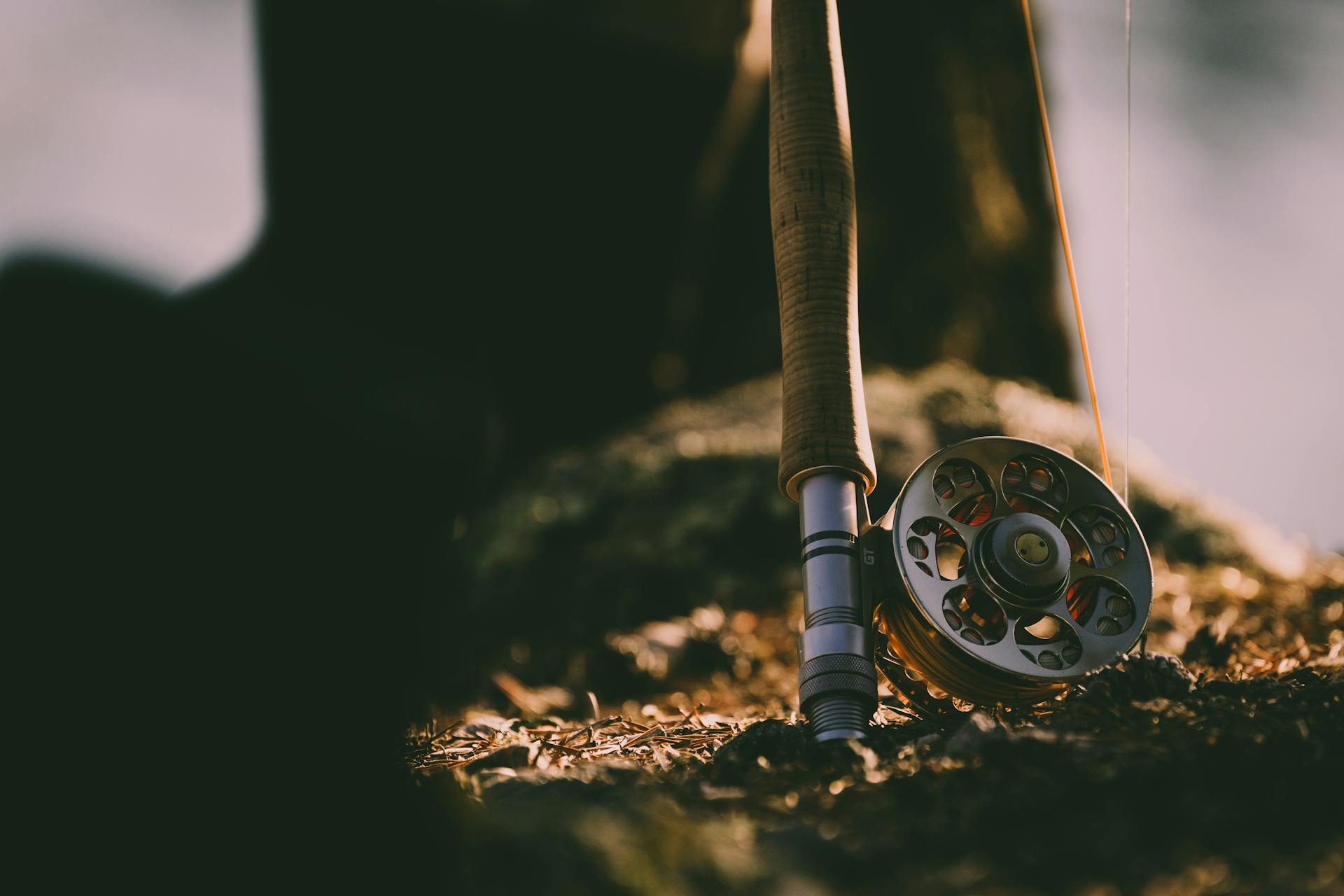 Standard and Fly Fishing